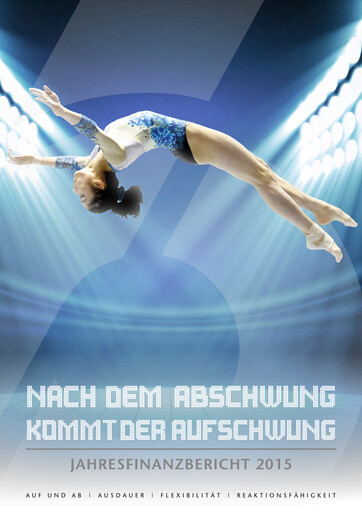 Thumbnail Schoeller-Bleckmann Oilfield Equipment Financial Statement 2015