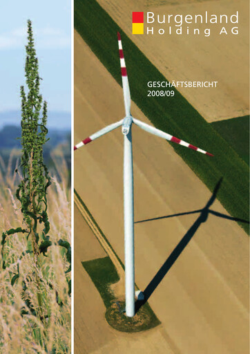 Vorschaubild Burgenland Holding Jahresbericht 2009