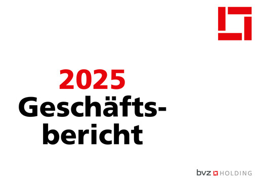 Miniature BVZ Holding Rapport annuel 2025