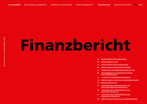 Thumbnail BVZ Holding Financial Report 2025