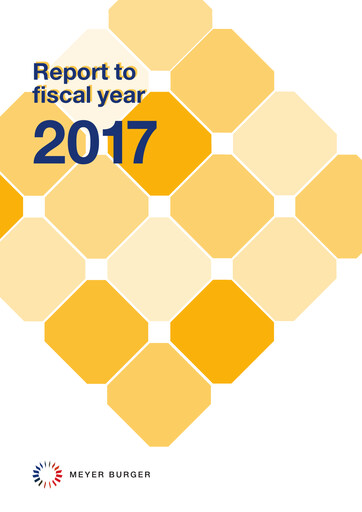 Vorschaubild Meyer Burger Technology Jahresbericht 2017