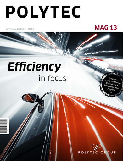 Thumbnail Polytec Holding Annual Report 2013