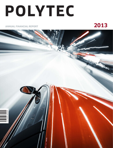 Thumbnail Polytec Holding Financial Statement 2013