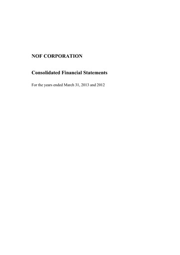 Thumbnail NOF Corporation Financial Statement fy2013
