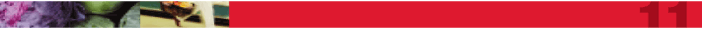 (PAGE 11 BANNER)