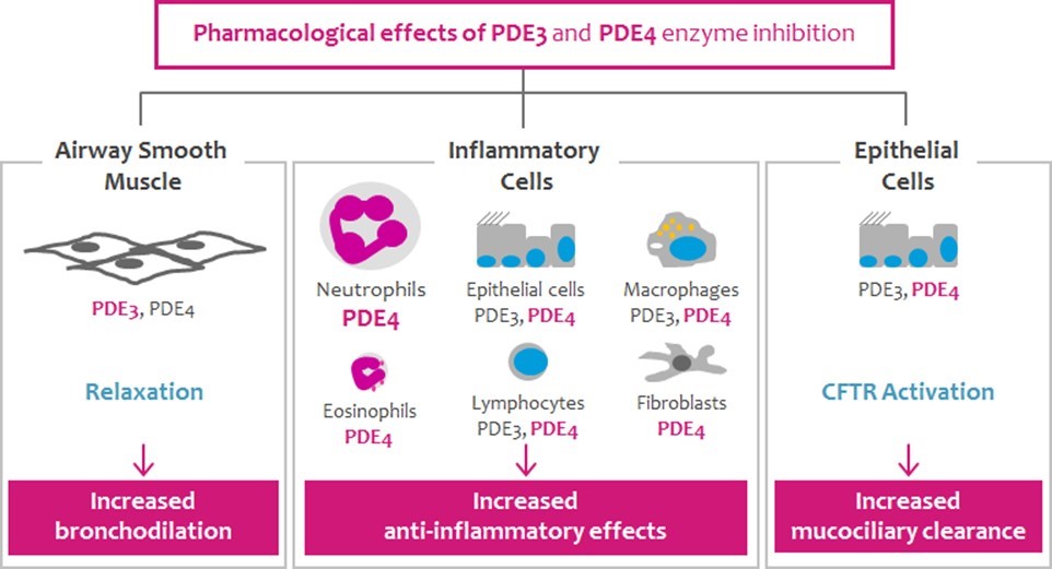 pde34activityfor20f.jpg